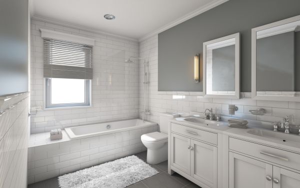 Cost of Restroom Remodeling in La Crosse